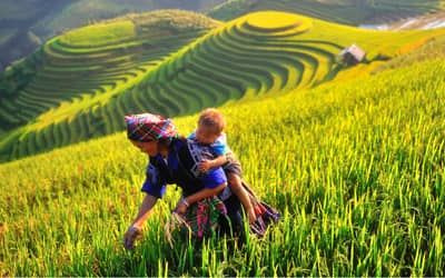 Mu-Cang-Chai-Vietnam